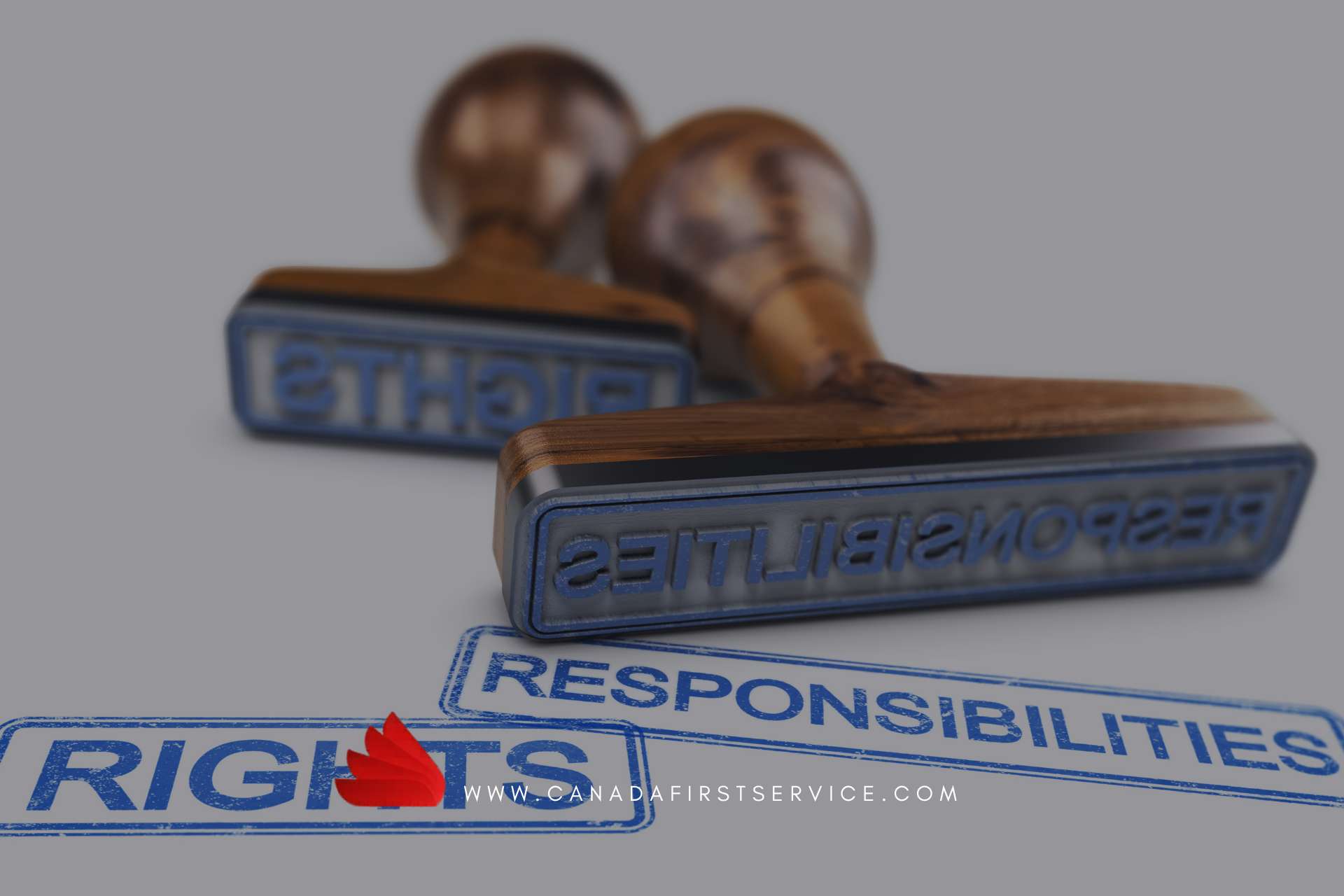 Misunderstanding Tenant Rights and Responsibilities