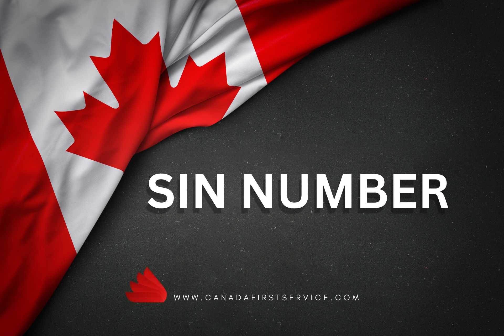 Apply for a SIN?